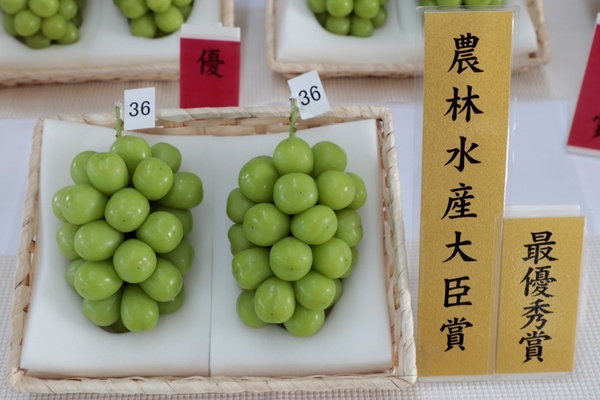 山形県産シャインマスカット