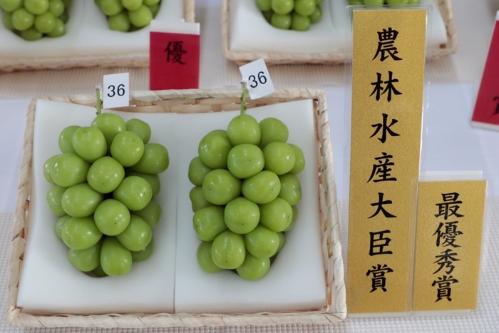 山形県産シャインマスカット