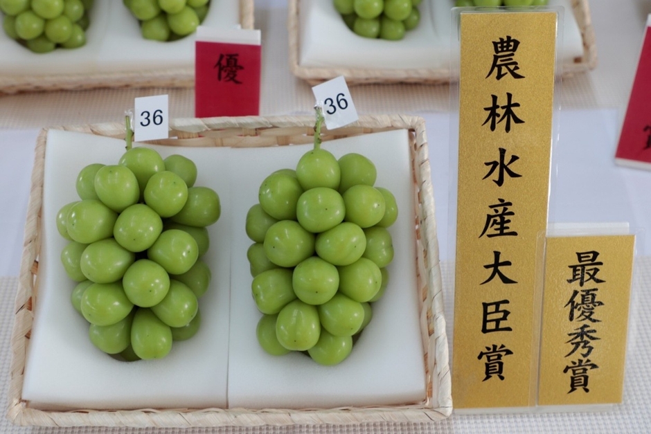山形県産シャインマスカット