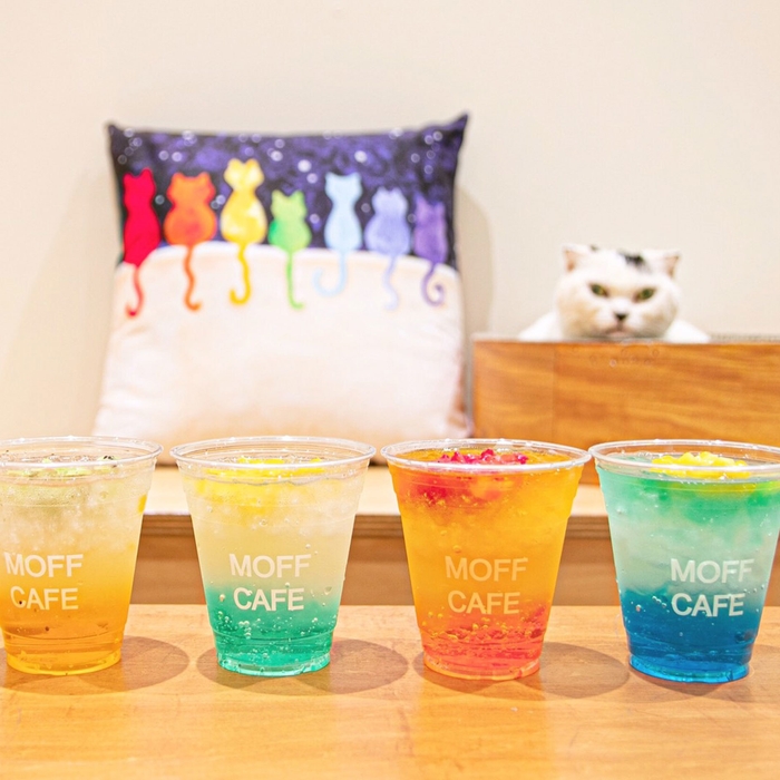 新商品!Moff シャインゼリーソーダ