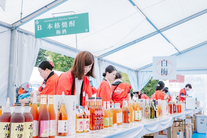 全国の梅酒120種以上から飲み比べ