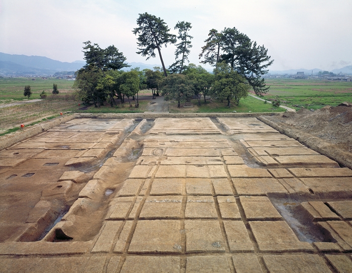 写真1−1「調査区全景」(藤原宮第20次調査) 1977年井上直夫さん撮影