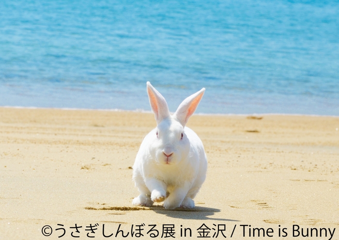 うさぎしんぼる展 展示作品4