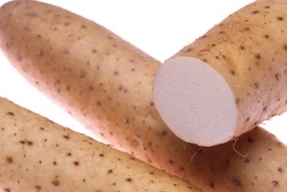 デンプン分解酵素やタンパク質、ミネラルを含み、「コクと粘り気」が特徴  お届け後も鮮度を保つ土付き・もみ殻入り梱包で3Lサイズ！年末の贈答にもオススメ