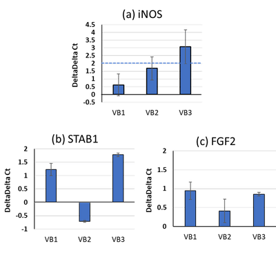 VBがマクロファージ機能に及ぼす作用(mRNA)(図5)