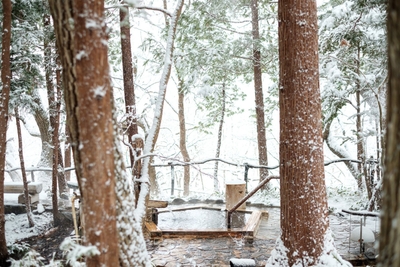 みやぎ蔵王・遠刈田温泉 温泉山荘だいこんの花