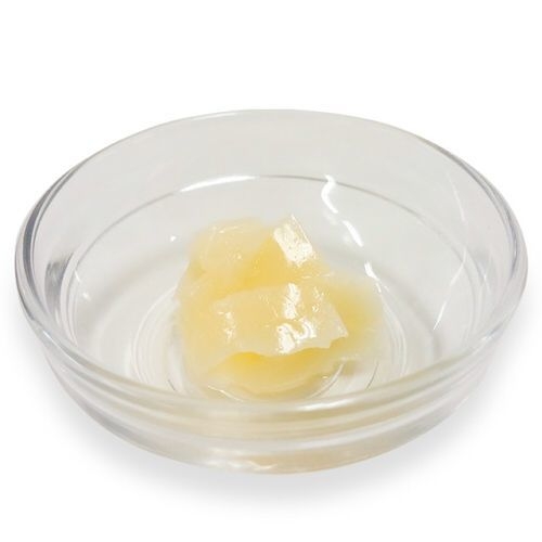 gelee WAN 乳酸菌詳細