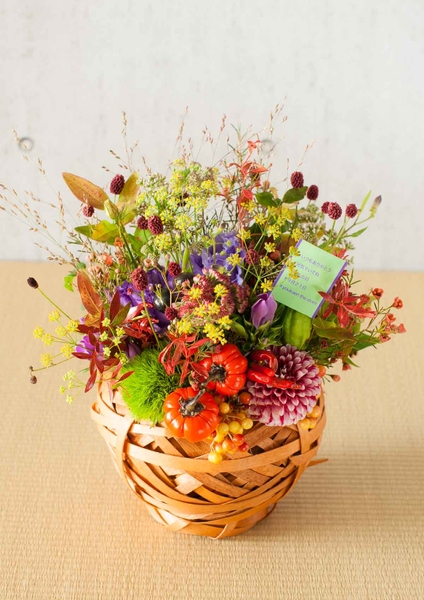 秋日和（あきびより）商品写真