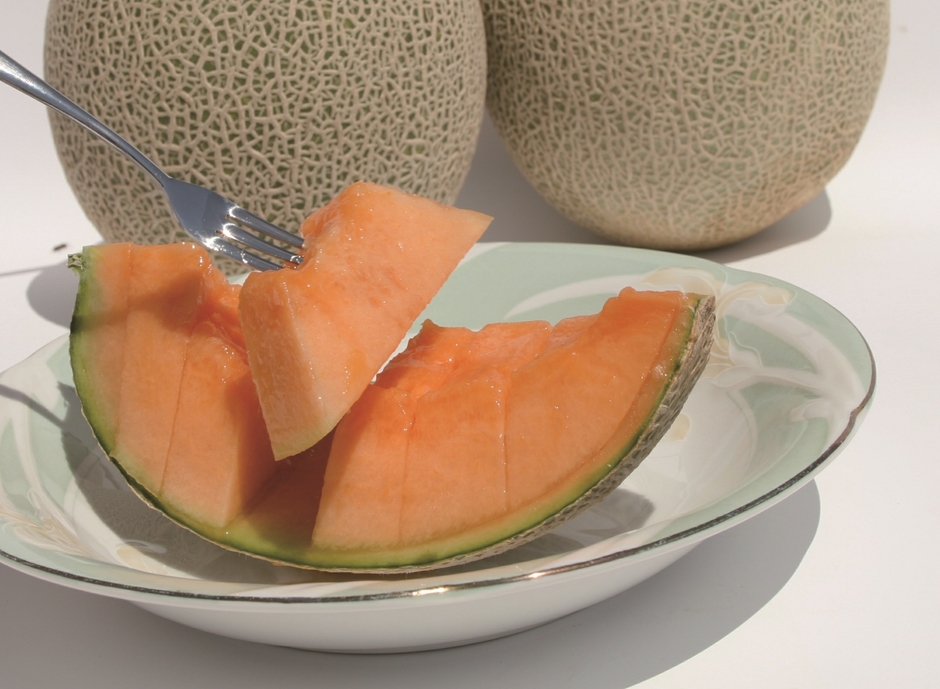 ふらの香りの舎 ふらのメロン