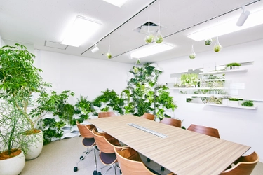 花と緑の力で、コミュニケーションが芽生える空間に　 環境緑化事業をリブランディング 「OASEEDS(オアシーズ)」2017年7月提供開始