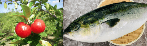 アセロラ(左)、アセロラぶり(右) (「アセロラぶり」は株式会社ニチレイの登録商標です)