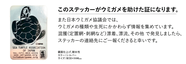 ウミガメのステッカー