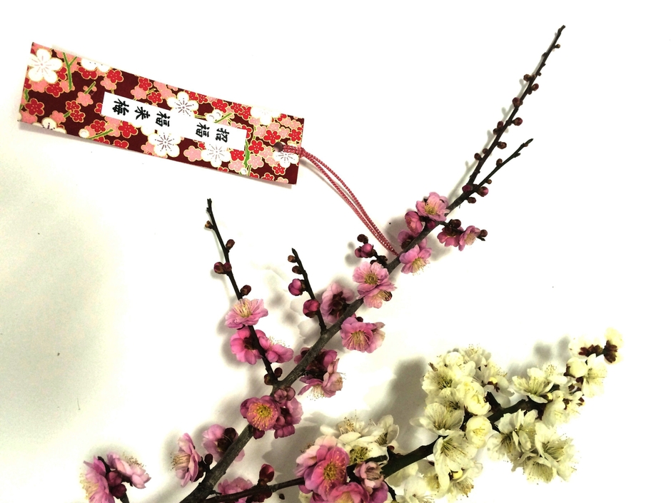 縁結び!福来梅の枝