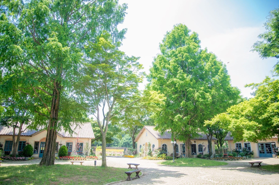 こもれび森のイバライド(2)