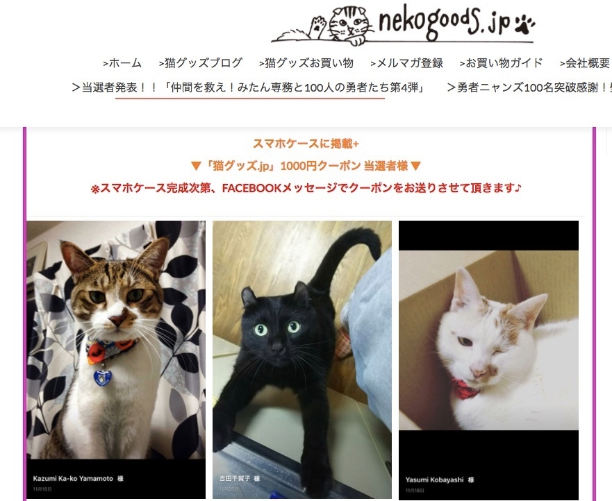 応募者には1,000円クーポンなどプレゼントが当たる