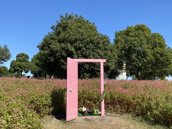 赤そば花壇に設置されたフォトスポット