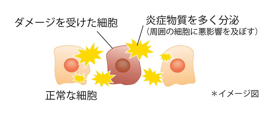 図1　ダメージ細胞は周囲の細胞へ悪影響を及ぼす