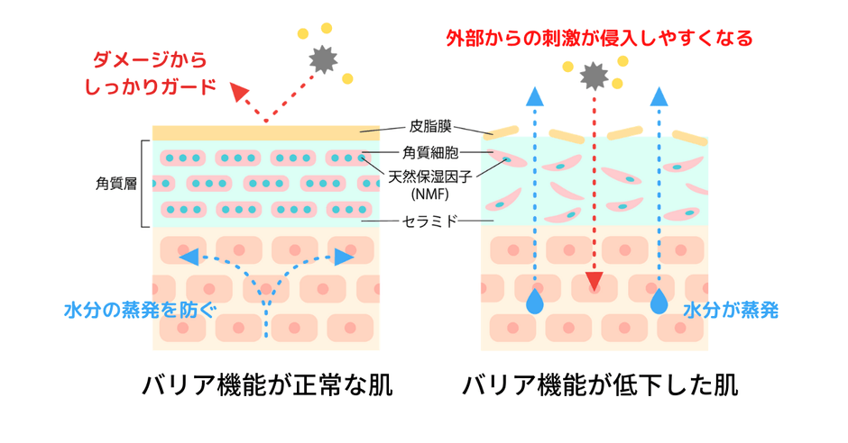 バリア機能とは