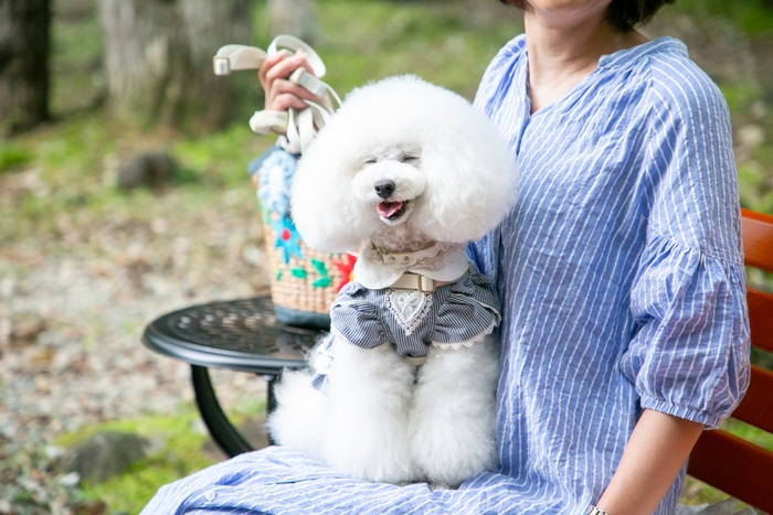 ワンちゃんの健康と幸せのためのオーガニックアメニティを開発