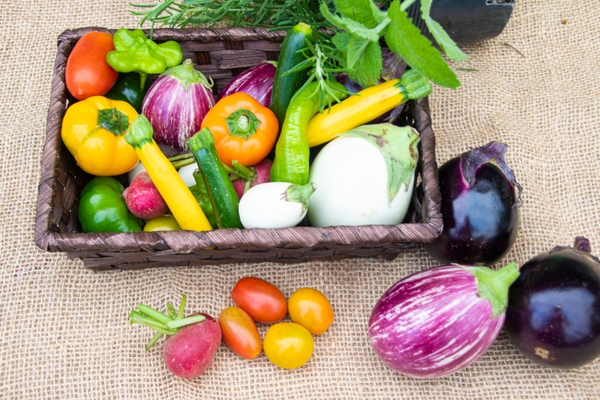 ”見て楽しい、貰って楽しい、食べて美味しい”有機野菜