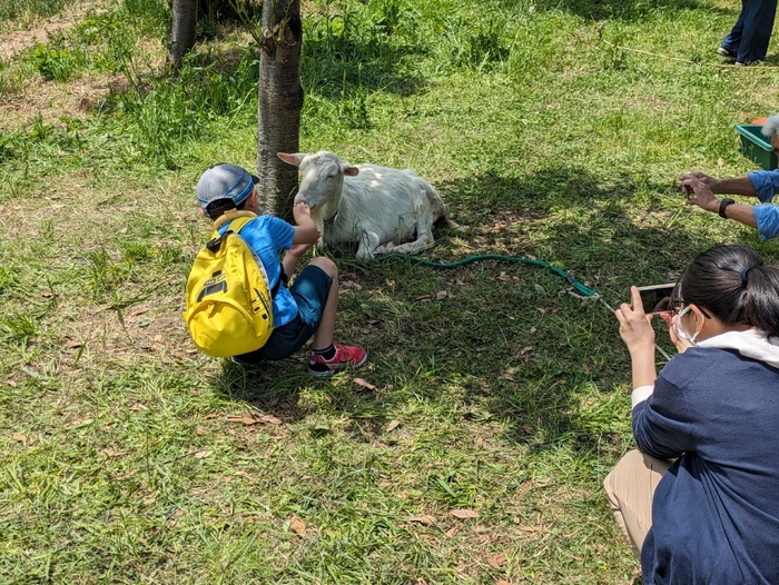 昨年のMGヤギ牧場の様子