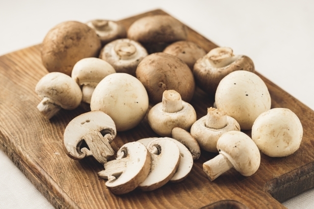 マッシュルーム ※画像はイメージです