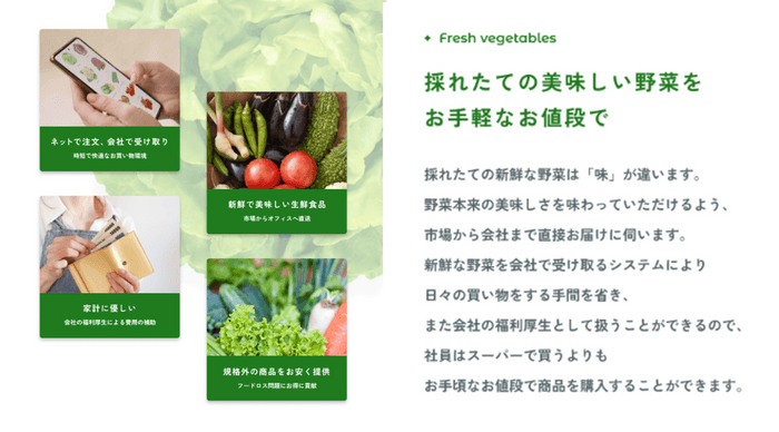 採れたての美味しい野菜をお手軽なお値段で