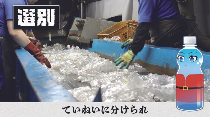 選別は大事です