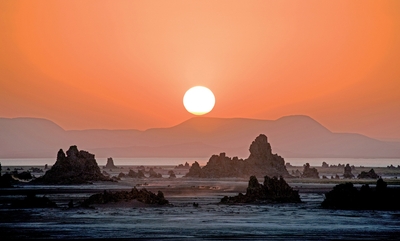 (Photo_04) 夕日のアッベ湖に立ち上がる石灰の塔のシルエット (ジブチ/エチオピア) 2011年 撮影:片平孝