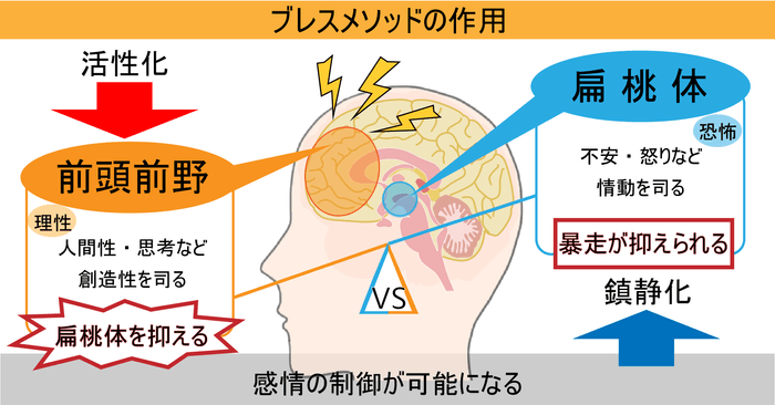 10_ブレスメソッドの作用(図解)