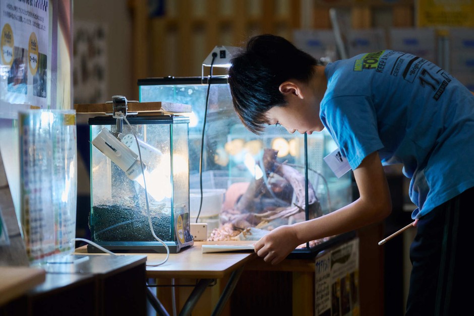 展示された生きものを真剣に観察