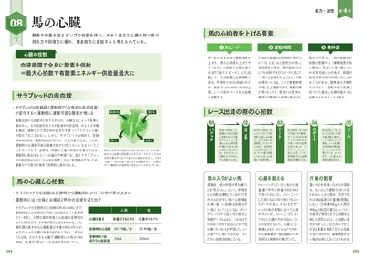 馬の心臓