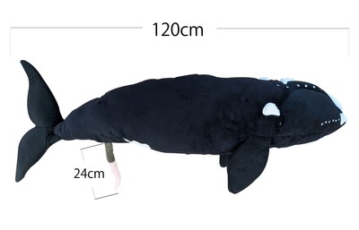 スペシャルチケット　セミクジラBIGぬいぐるみ