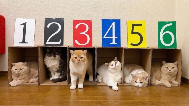 みかんとじろうさんち