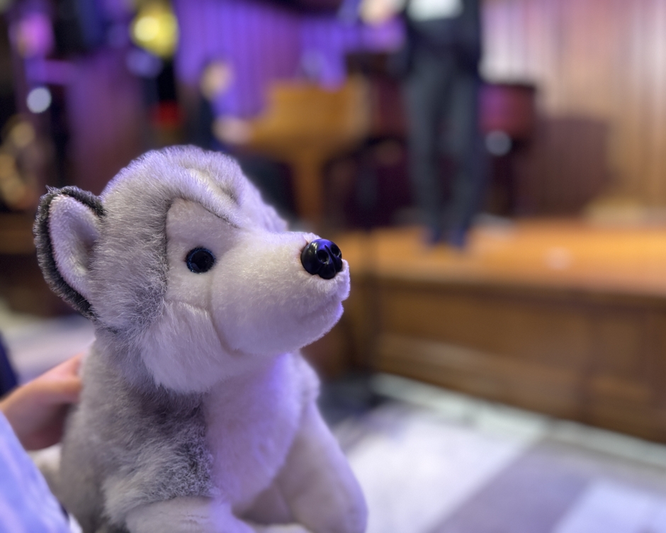 様々な楽しみを