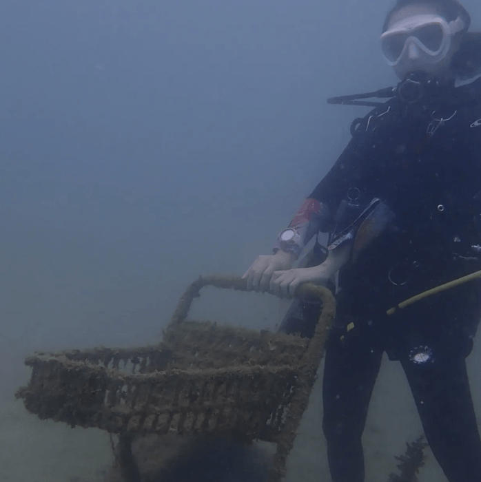 海の一部となったショッピングカート