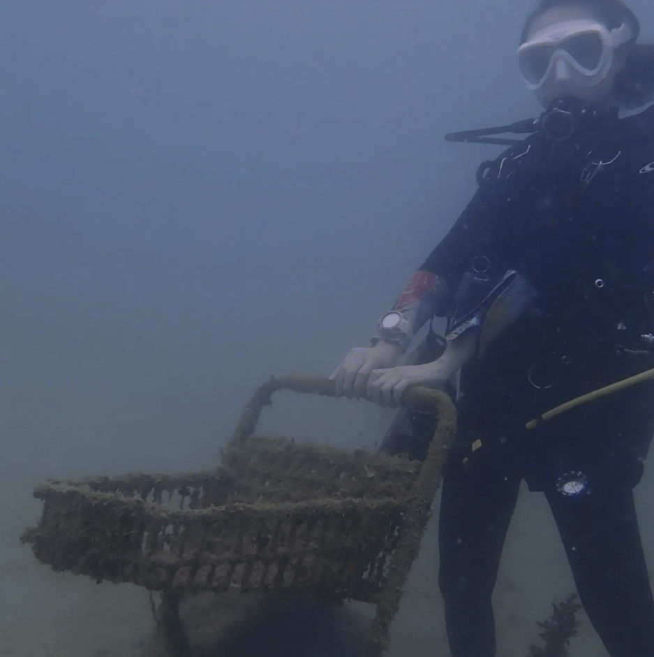 海の一部となったショッピングカート