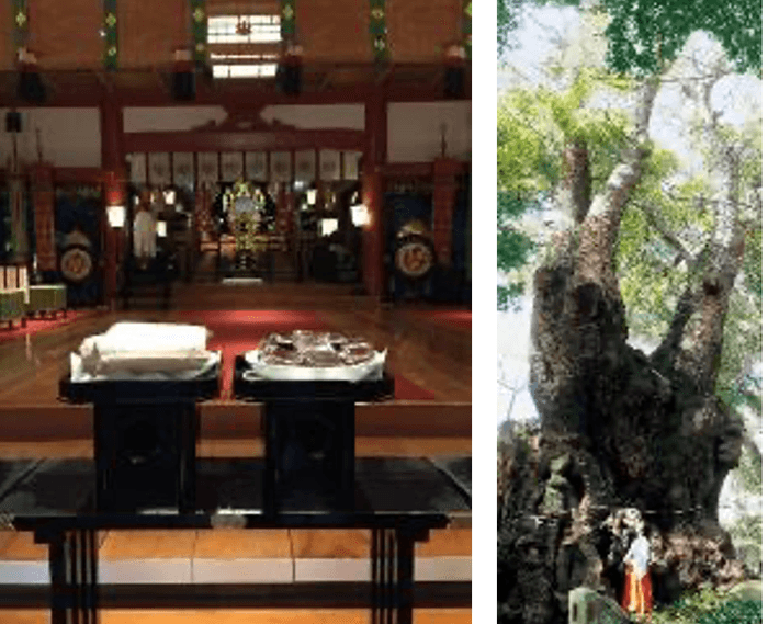 熱海の來宮神社