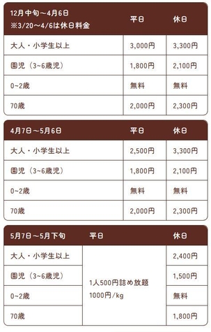 いちご狩り料金表