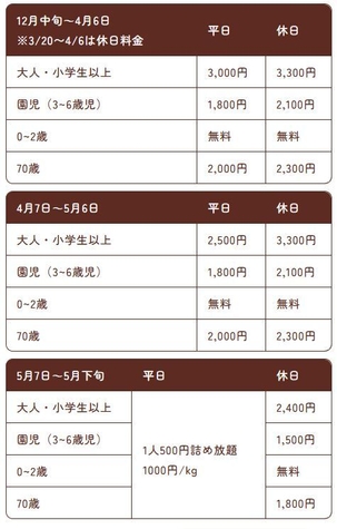 いちご狩り料金表