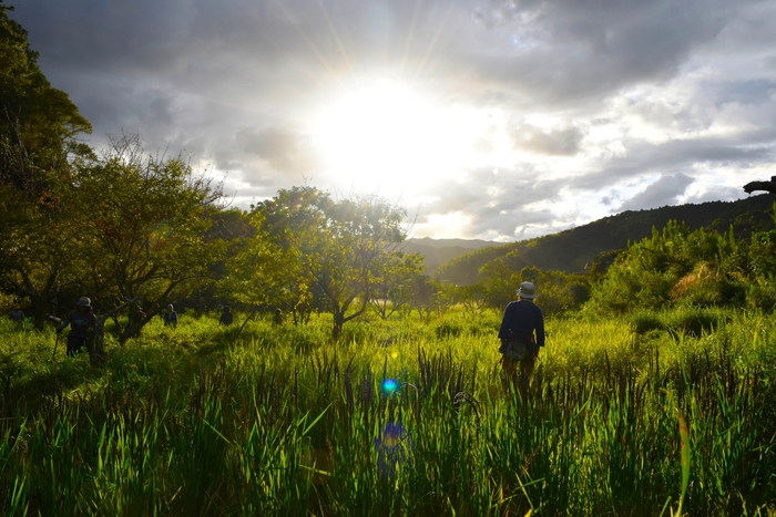 映画「杜人」より