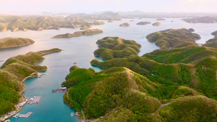 対馬の浅茅湾